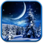 winter night live wallpaper android application logo